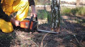 Lawn Watering Services in Canton, TX