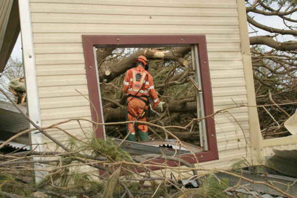 How Our Tree Care Process Works  in  Canton, TX